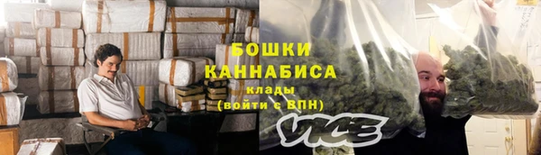 стафф Снежногорск