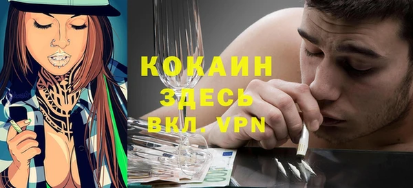 твердый Слюдянка