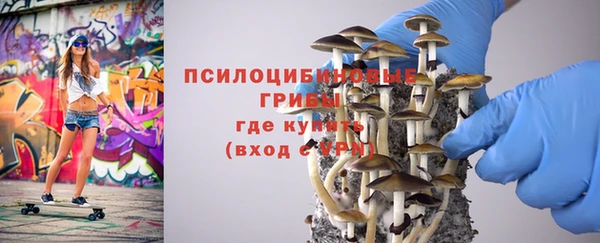 стафф Снежногорск